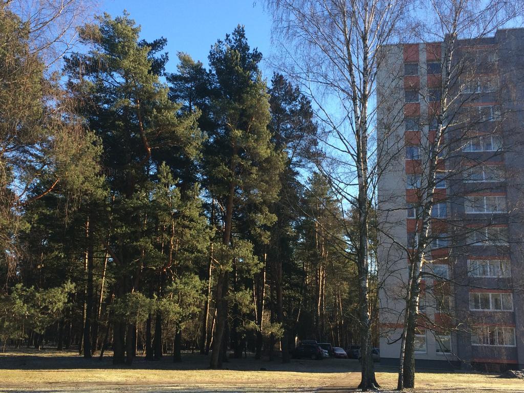 Angel Apartment Druskininkai Exterior photo